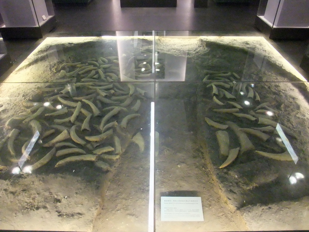 Model of a ritual pit of ox horns in Xiaoshuangqiao site, at the Henan Provincial Museum