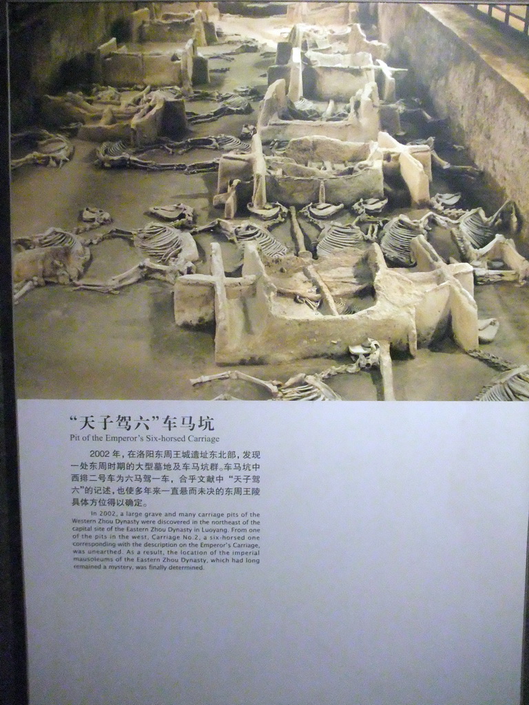 Photo of the pit of the emperor`s six-horsed carriage, at the Henan Provincial Museum, with explanation