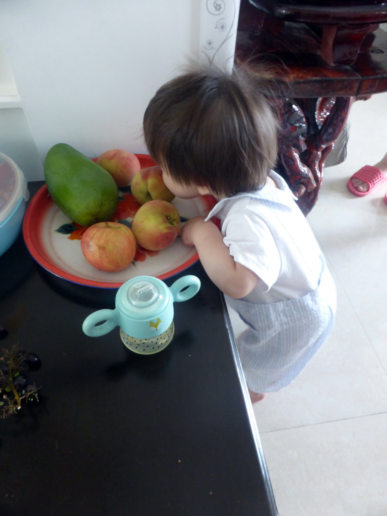 Max eating an apple at the apartment of Miaomiao`s uncle and aunt