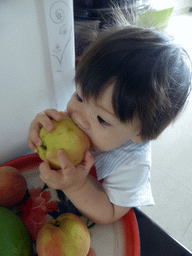 Max eating an apple at the apartment of Miaomiao`s uncle and aunt