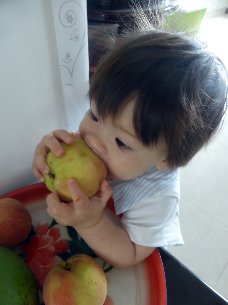Max eating an apple at the apartment of Miaomiao`s uncle and aunt