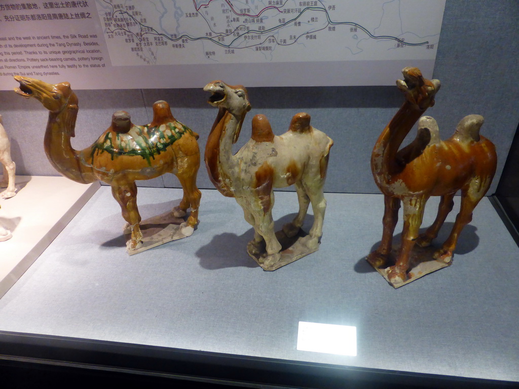 Porcelain statuettes of camels from the Tang Dynasty, in the temporary exhibition building of the Henan Museum, with explanation