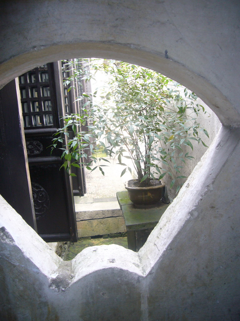 Plants in the garden of a house at the Zhouzhuang Water Town, viewed through a window