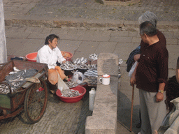 Woman selling fishes on a street at the Zhouzhuang Water Town