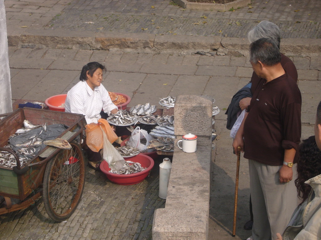Woman selling fishes on a street at the Zhouzhuang Water Town