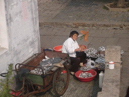 Woman selling fishes on a street at the Zhouzhuang Water Town