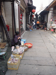 People selling fishes and nuts on a street at the Zhouzhuang Water Town