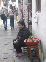 Woman selling food on a street at the Zhouzhuang Water Town