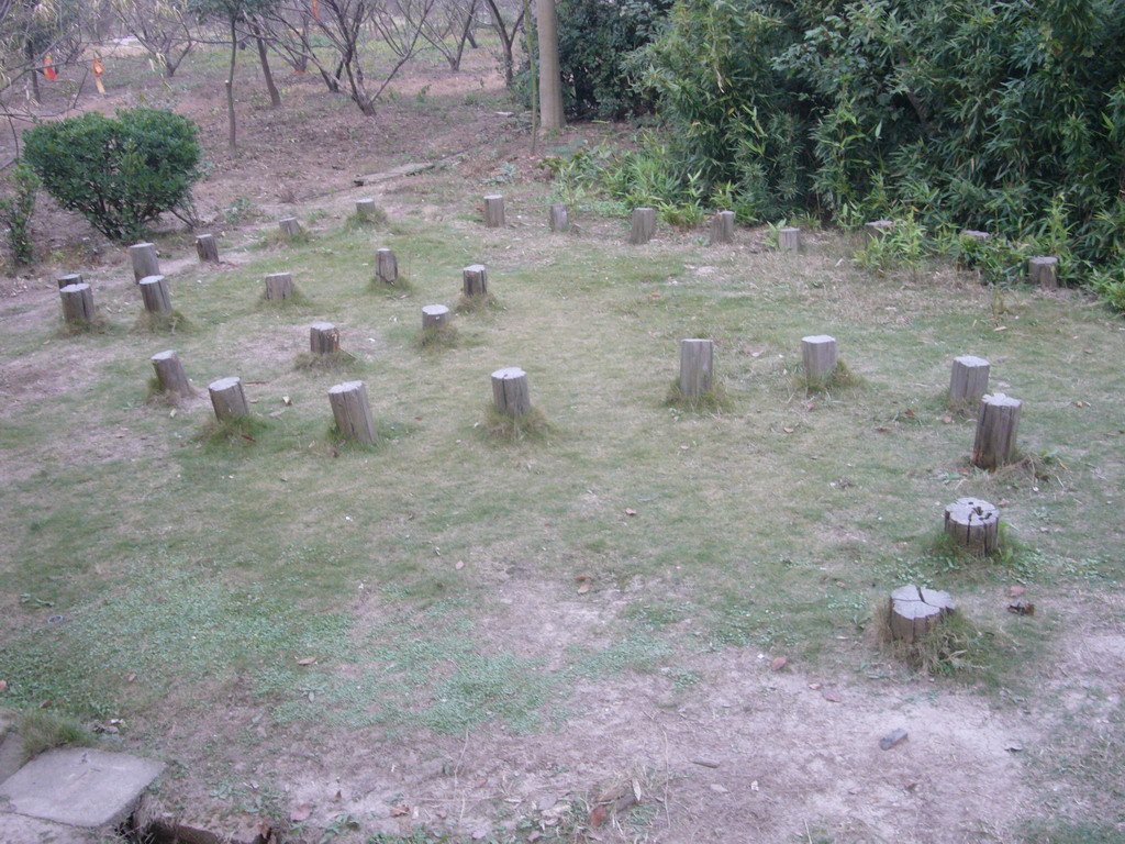 Garden of a temple, on the way back to Shanghai