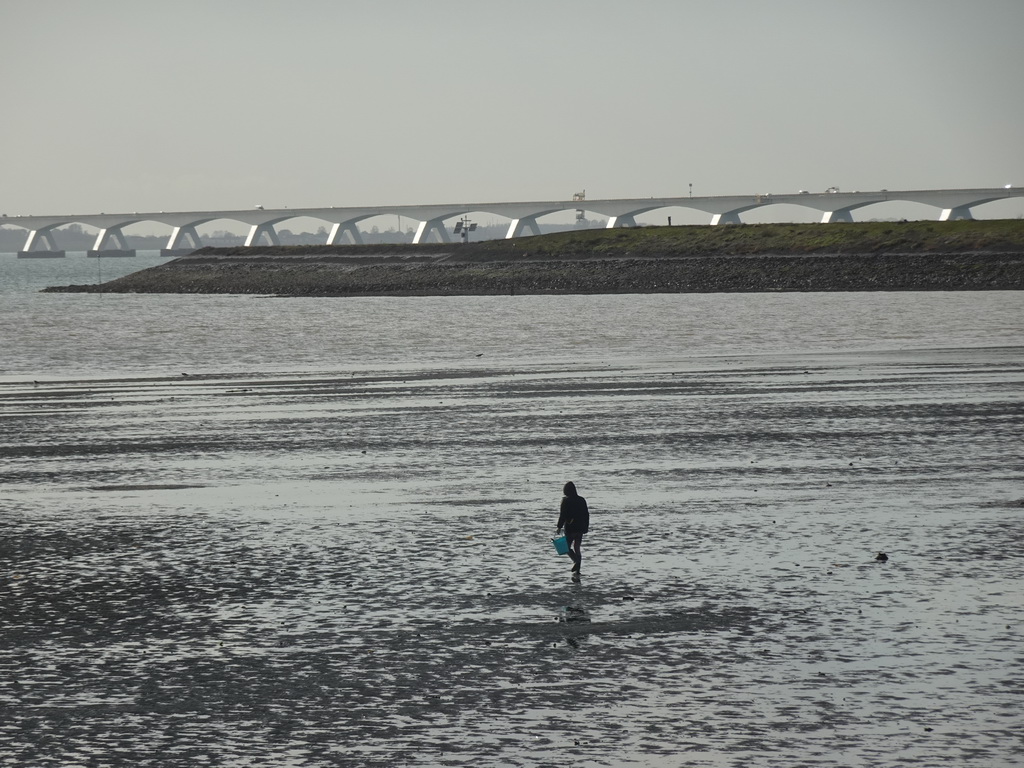 Miaomiao looking for seashells at the Stille Strand beach and the Zeelandbrug bridge