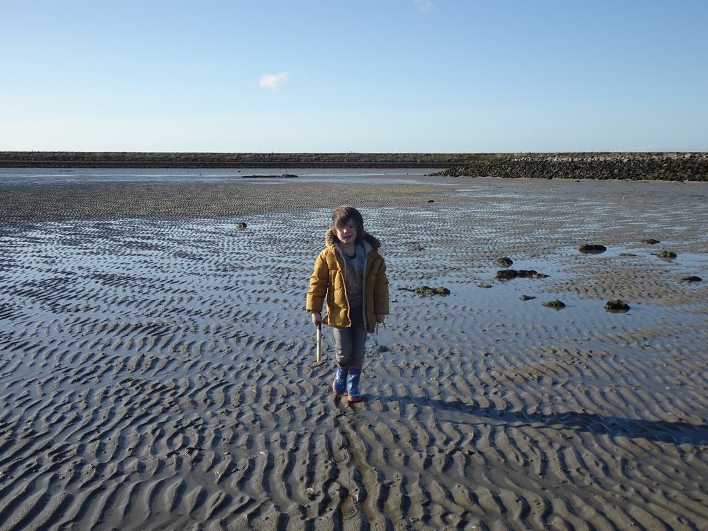 Max looking for shellfish at the Stille Strand beach
