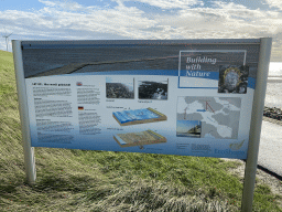 Information on the artificial reef made of oysters at the Stille Strand beach