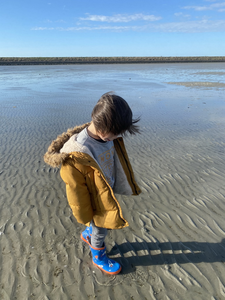 Max looking for shellfish at the Stille Strand beach