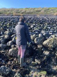 Miaomiao looking for shellfish at the Stille Strand beach