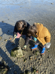 Miaomiao and Max looking for shellfish at the Stille Strand beach