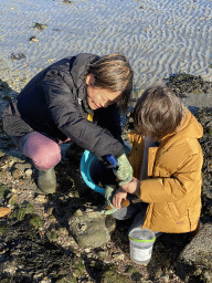 Miaomiao and Max looking for shellfish at the Stille Strand beach