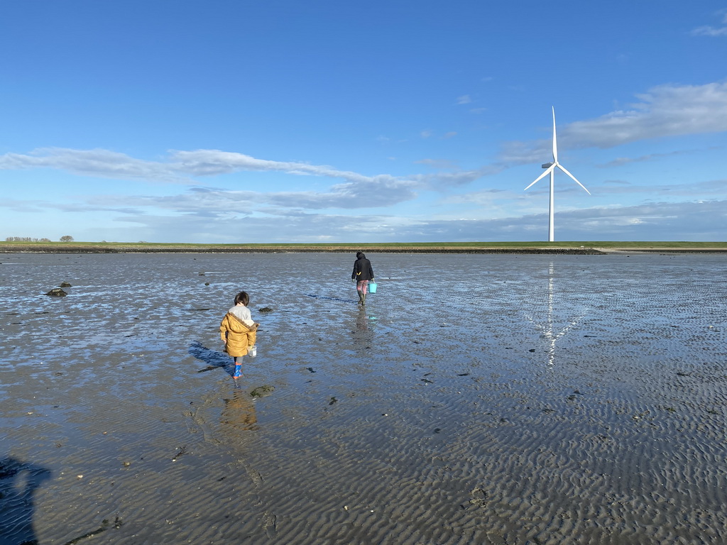 Miaomiao and Max looking for shellfish at the Stille Strand beach