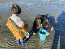 Miaomiao and Max looking for shellfish at the Stille Strand beach