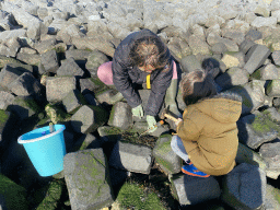 Miaomiao and Max looking for shellfish at the Stille Strand beach