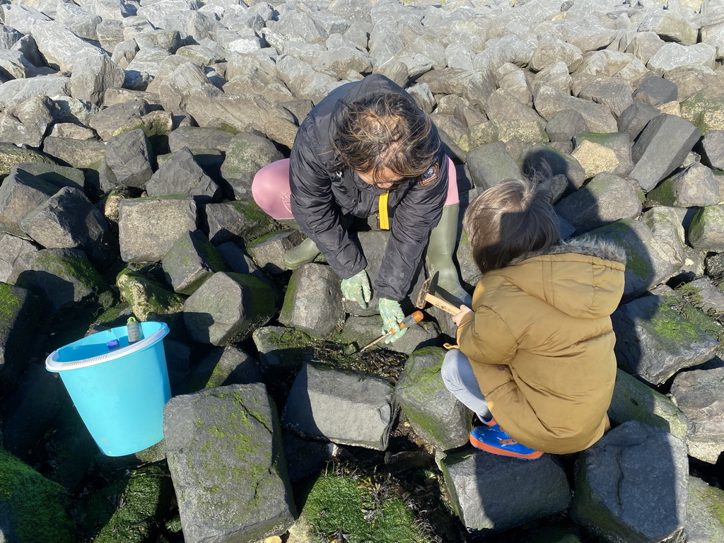 Miaomiao and Max looking for shellfish at the Stille Strand beach