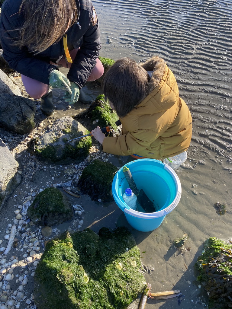 Miaomiao and Max looking for shellfish at the Stille Strand beach