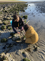 Miaomiao and Max looking for shellfish at the Stille Strand beach