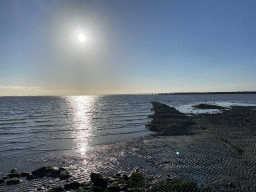 Artificial reef made of oysters at the Stille Strand beach and the Zeelandbrug bridge