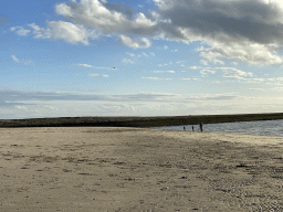 Beach at the Duikplaats Zuidbout and the Zeelandbrug bridge