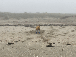 Max making a sandcastle at the beach at the Duikplaats Zuidbout