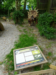 Styracosaurus statues at the Cretaceous area at Dinoland Zwolle, with explanation