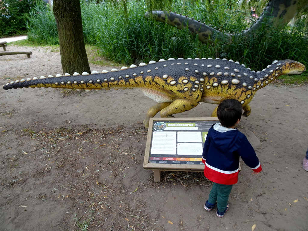 Max with a Scelidosaurus statue at the Jurassic area at Dinoland Zwolle, with explanation