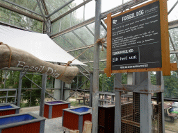 Fossil Dig area at the PaleoLab at Dinoland Zwolle