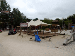 The DinoDig excavation site at Dinoland Zwolle