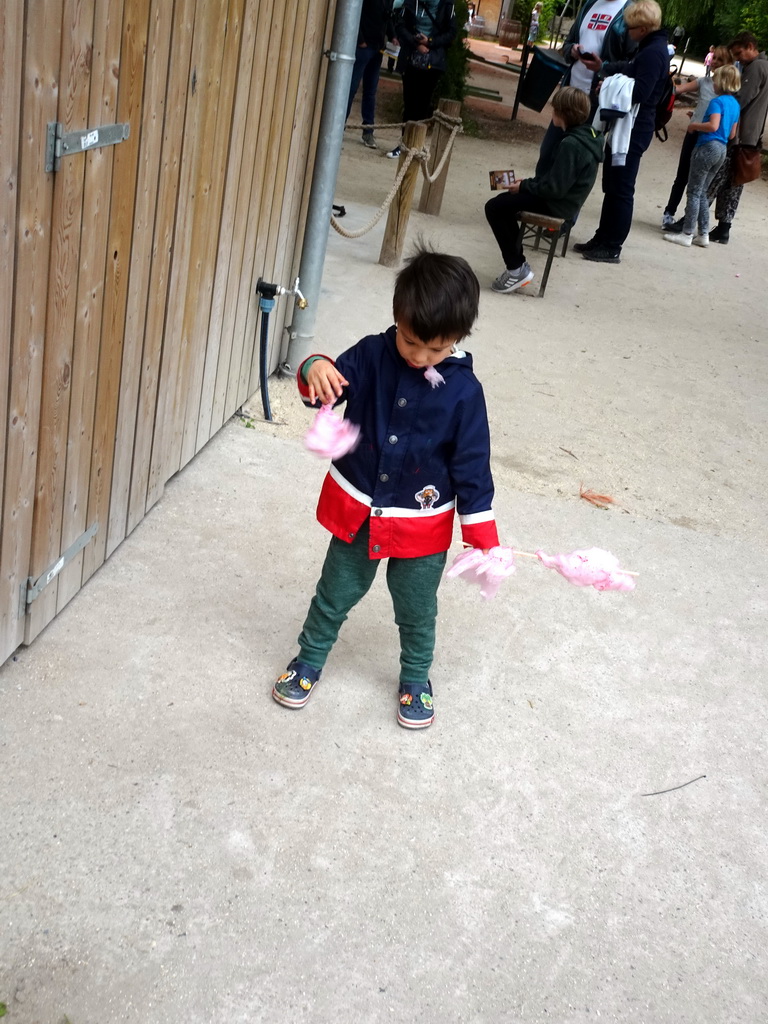 Max eating cotton candy at Dinoland Zwolle