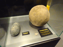 Fossilized eggs at the T-Rexpedition at Dinoland Zwolle