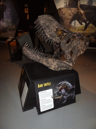 Tyrannosaurus Rex skull at the T-Rexpedition at Dinoland Zwolle, with explanation
